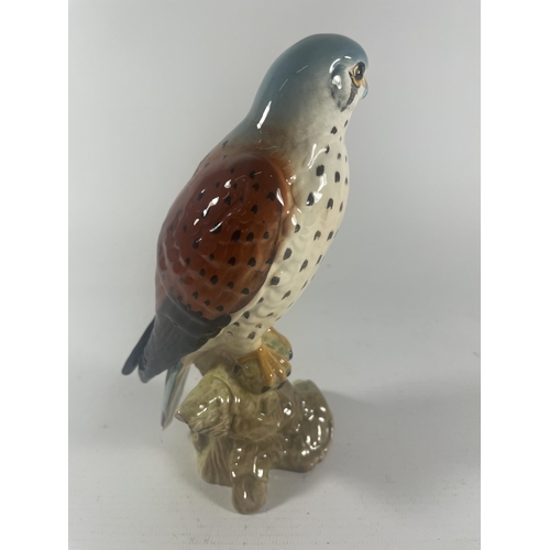 761 - A BESWICK NO.2316 KESTREL BIRD FIGURE