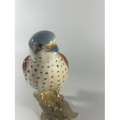 761 - A BESWICK NO.2316 KESTREL BIRD FIGURE