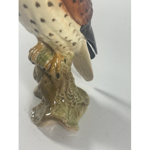 761 - A BESWICK NO.2316 KESTREL BIRD FIGURE