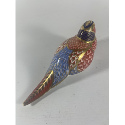 764 - A ROYAL CROWN DERBY PHEASANT PAPERWEIGHT WITH SILVER STOPPER