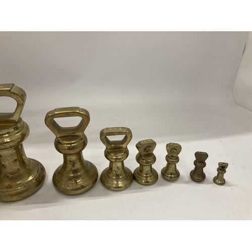 29 - A VINTAGE GRADUATED SET OF EIGHT BRASS WEIGHTS, LARGEST 7LB, SMALLEST 1OZ