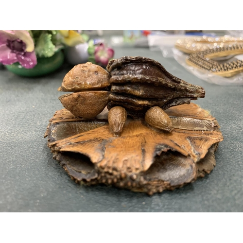 145 - AN AUSTRALIAN WOOD AND NUT MODEL OF A TURTLE