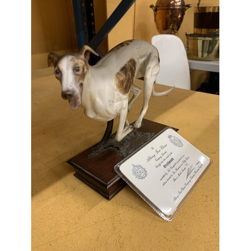 150 - AN ALBANY FINE CHINA MODEL OF A GREYHOUND BY NEIL CAMPBELL, LILMITED EDITION 98/250 WITH CERTIFICATE... 