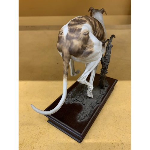 150 - AN ALBANY FINE CHINA MODEL OF A GREYHOUND BY NEIL CAMPBELL, LILMITED EDITION 98/250 WITH CERTIFICATE... 