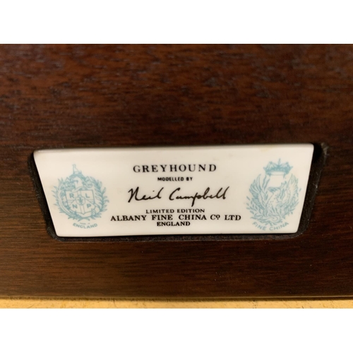 150 - AN ALBANY FINE CHINA MODEL OF A GREYHOUND BY NEIL CAMPBELL, LILMITED EDITION 98/250 WITH CERTIFICATE... 