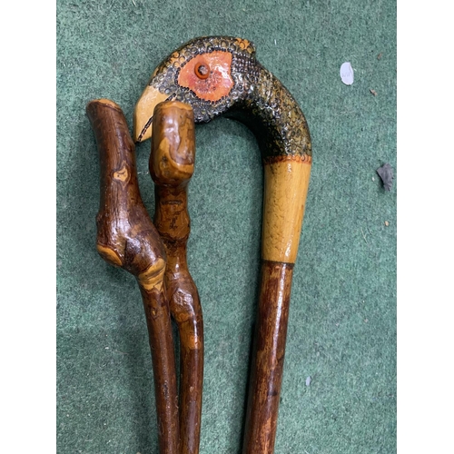 181 - THREE WALKING STICKS, ONE WITH A BIRDS HEAD HANDLE