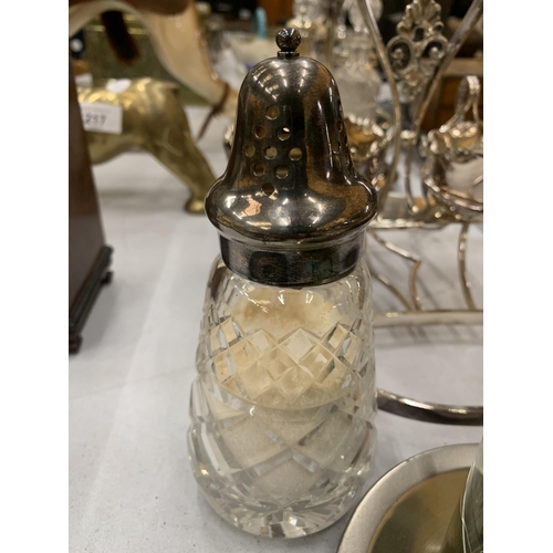 214 - A QUANTITY OF SILVER PLATE AND GLASS CONDIMENTS TO INCLUDE A SUGAR SHAKER, PRESERVE POT, ETC