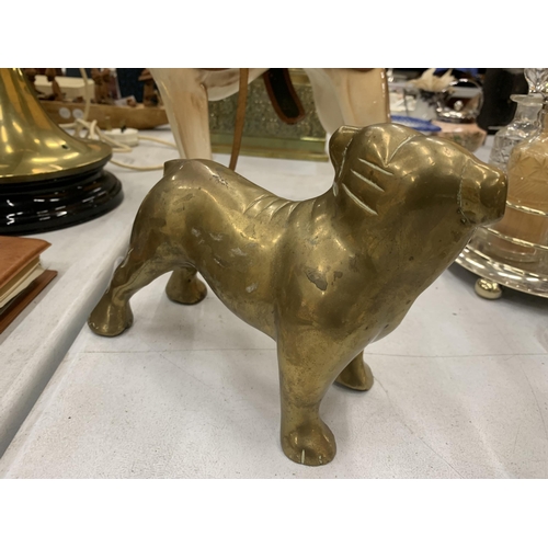 217 - A LARGE BRASS STAFFORDSHIRE BULLDOG HEIGHT 15CM