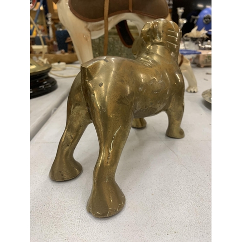 217 - A LARGE BRASS STAFFORDSHIRE BULLDOG HEIGHT 15CM