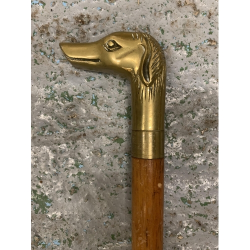 236 - A VINTAGE WOODEN WALKING STICK WITH BRASS GREYHOUND FINIAL