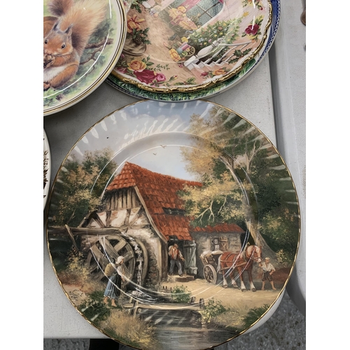 252 - A LARGE QUANTITY OF CABINET/WALL PLATES TO INCLUDE OLD COUNTRY ROSES 'CHRISTMAS MAGIC', ROYAL DOULTO... 