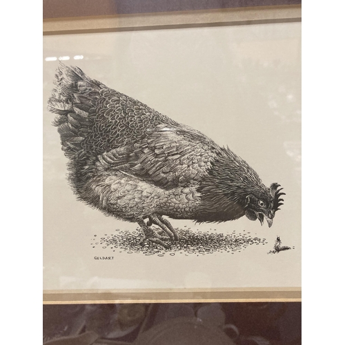 905 - A GELDART PRINT OF A CHICKEN AND A CATERPILLAR 33CM X 32CM