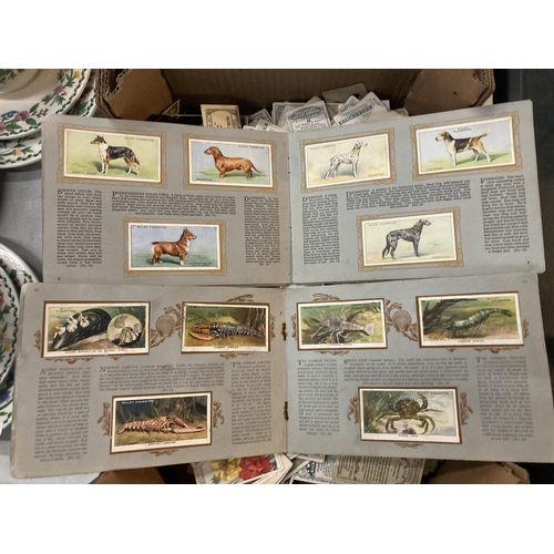 956 - A LARGE QUANTITY OF CIGARETTE CARDS AND ALBUMS TO INCLUDE MILITARY UNIFORMS OF THE BRITISH EMPIRE OV... 