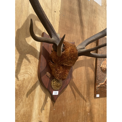 1508 - A PAIR OF ANTLERS MOUNTED ON A WOODEN PLINTH