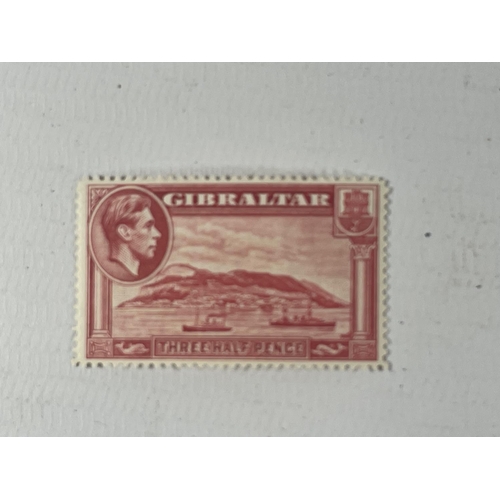 408 - GIBRALTAR 1938/51 11/2D CARMINE , P14  , X 15 UNMOUNTED MINT EXAMPLES . SG 123 CAT £35 X 15 = £525.0... 