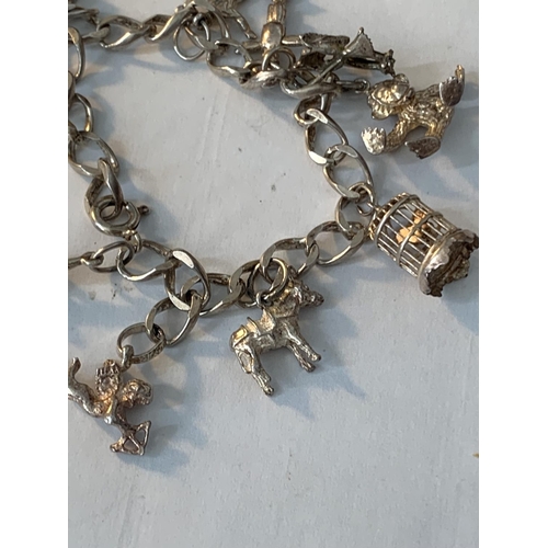 641 - A SILVER CHARM BRACELET WITH TEN CHARMS