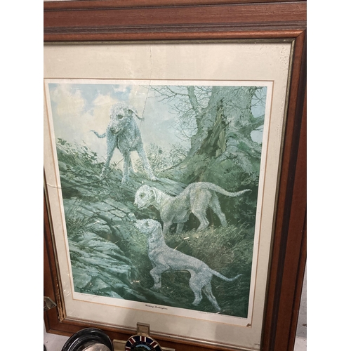 1059 - TWO LIMITED EDITION FRAMED AND MOUNTED PRINTS OF BEDLINGTON TERRIERS ENTITLED  