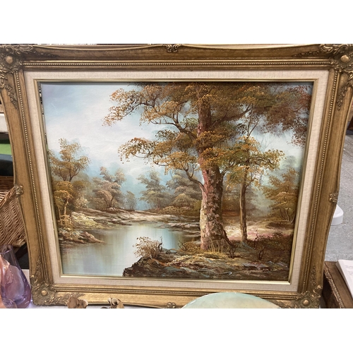 1118 - AN OIL ON CANVAS PAINTING OF A LAKE IN A WOODLAND SETTING IN A GILT FRAME 74CM X 64CM