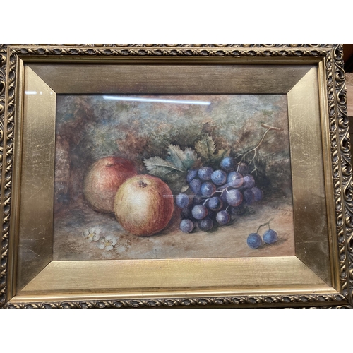 1158 - FOUR STILL LIFE WATERCOLOURS OF FRUIT IN GILT FRAMES