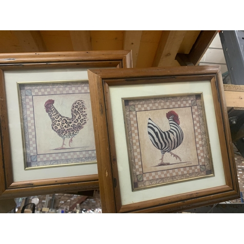 1216 - THREE WOODEN FRAMED PRINTS OF COCKERILLS BY U. WEINS