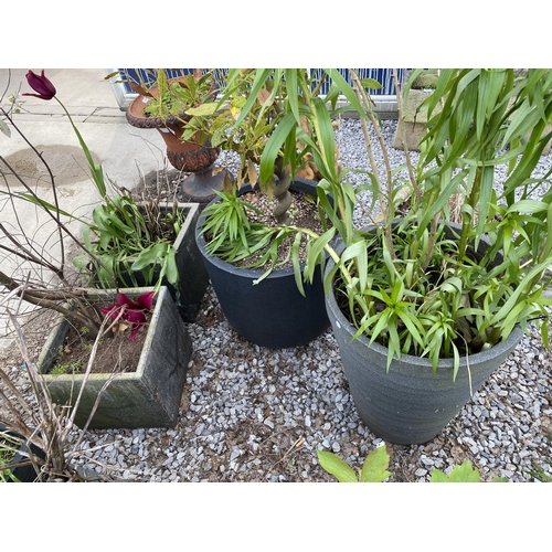 1963 - AN ASSORTMENT OF PLANTERS WITH ESTABLISHED PLANTS