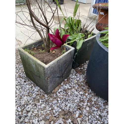 1963 - AN ASSORTMENT OF PLANTERS WITH ESTABLISHED PLANTS