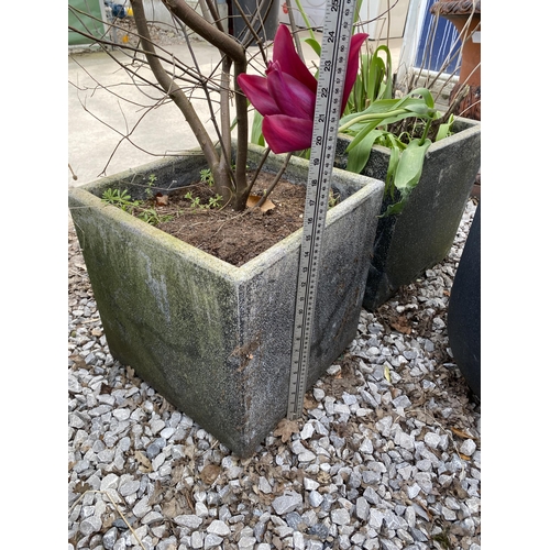 1963 - AN ASSORTMENT OF PLANTERS WITH ESTABLISHED PLANTS