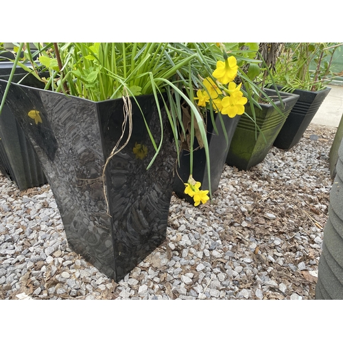 1964 - AN ASSORTMENT OF PLANTERS WITH ESTABLISHED PLANTS