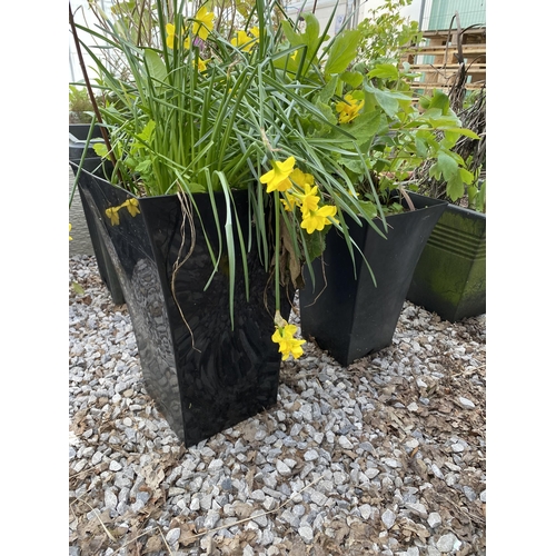 1964 - AN ASSORTMENT OF PLANTERS WITH ESTABLISHED PLANTS