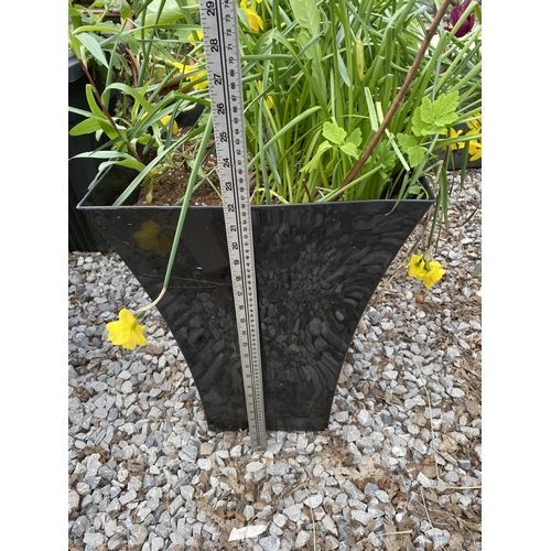 1964 - AN ASSORTMENT OF PLANTERS WITH ESTABLISHED PLANTS