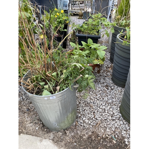 1965 - AN ASSORTMENT OF PLANTERS WITH ESTABLISHED PLANTS