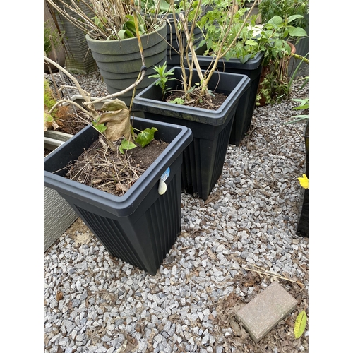 1965 - AN ASSORTMENT OF PLANTERS WITH ESTABLISHED PLANTS