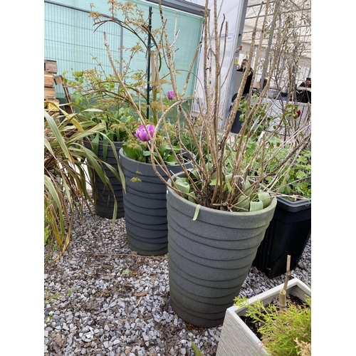 1966 - AN ASSORTMENT OF PLANTERS WITH ESTABLISHED PLANTS