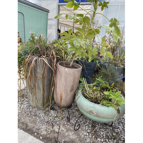 1967 - AN ASSORTMENT OF PLANTERS WITH ESTABLISHED PLANTS