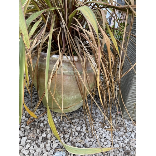 1967 - AN ASSORTMENT OF PLANTERS WITH ESTABLISHED PLANTS