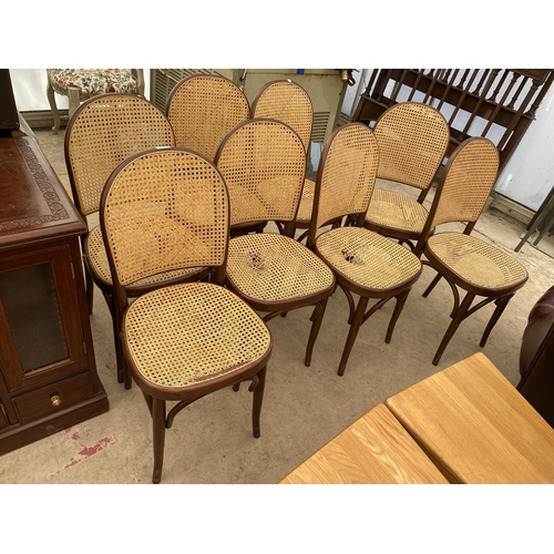 2633 - EIGHT MODERN BENTWOOD DINING CHAIRS WITH CANE SEATS AND BACKS A/F