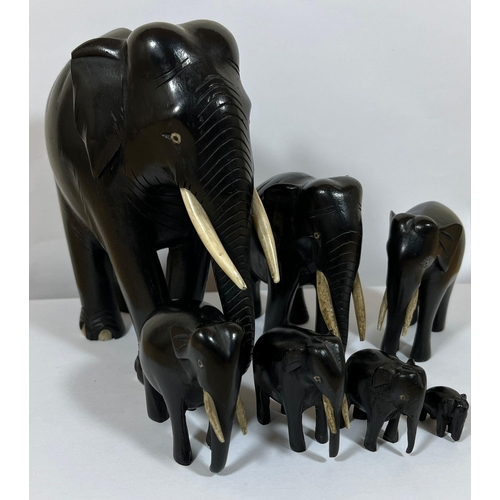 323 - AN ANTIQUE FAMILY OF SEVEN GRADUATED EBONY ELEPHANTS, LARGEST 16CM, SMALLEST 1.5CM