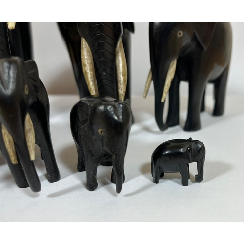 323 - AN ANTIQUE FAMILY OF SEVEN GRADUATED EBONY ELEPHANTS, LARGEST 16CM, SMALLEST 1.5CM