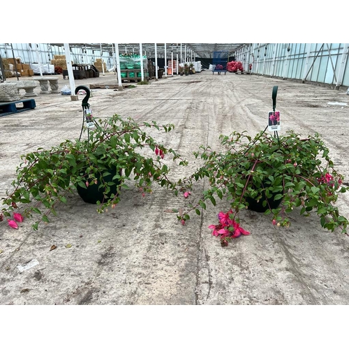 19 - A PAIR OF MATCHING OF ADRIENNE  FUCHSIA HANGING BASKETS + VAT