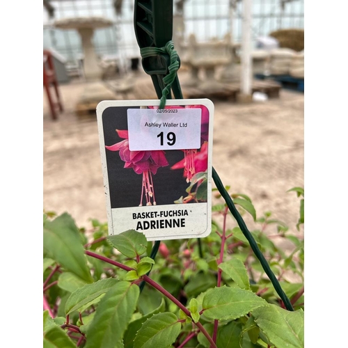 19 - A PAIR OF MATCHING OF ADRIENNE  FUCHSIA HANGING BASKETS + VAT