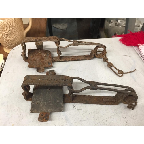 1198A - TWO VINTAGE METAL BEAR TRAPS