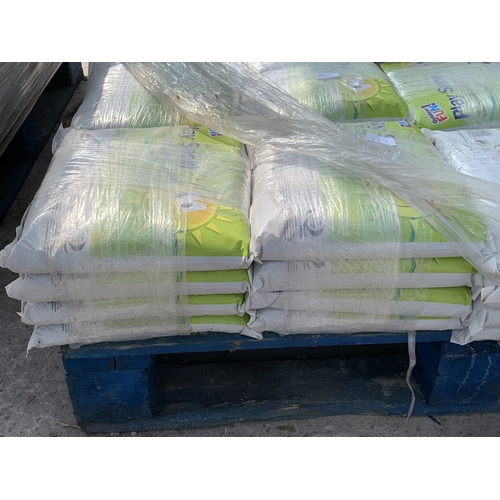 297 - SIXTEEN 5KG BAGS OF PLAY SAND NO VAT