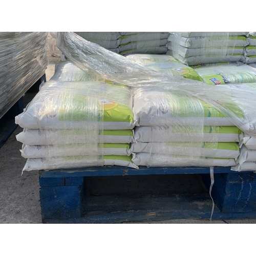 299 - SIXTEEN 5KG BAGS OF PLAY SAND NO VAT