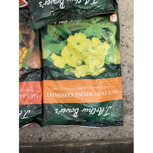 304 - TEN 2L BAGS OF  J ARTHUR BOWERS MULTI PURPOSE COMPOST NO VAT