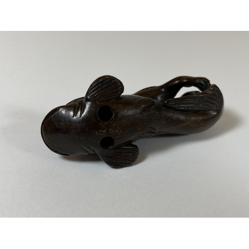 336 - AN ORIENTAL NETSUKE OF A TURTLE MONKEY RIDING A NAMAZU (EARTHQUAKE FISH) SIGNED TO BASE, LENGTH 6.5C... 