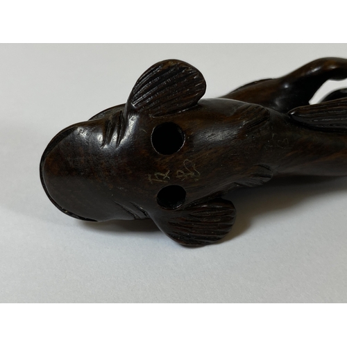 336 - AN ORIENTAL NETSUKE OF A TURTLE MONKEY RIDING A NAMAZU (EARTHQUAKE FISH) SIGNED TO BASE, LENGTH 6.5C... 