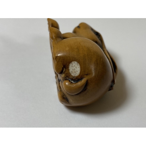 337 - AN ORIENTAL NETSUKE OF A RABBIT, SIGNED WITH BONE INSET MAKERS PLAQUE, LENGTH 5CM