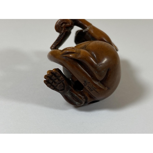 339 - AN ORIENTAL NETSUKE OF A RABBIT READING, HAND A/F, SIGNED TO BASE, HEIGHT 4.5CM