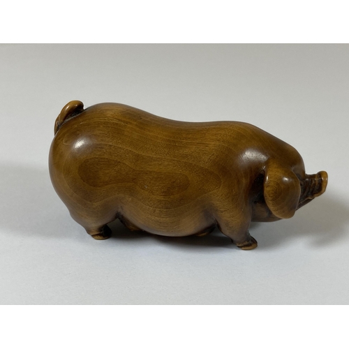 340 - AN ORIENTAL NETSUKE OF A PIG, LENGTH 6CM