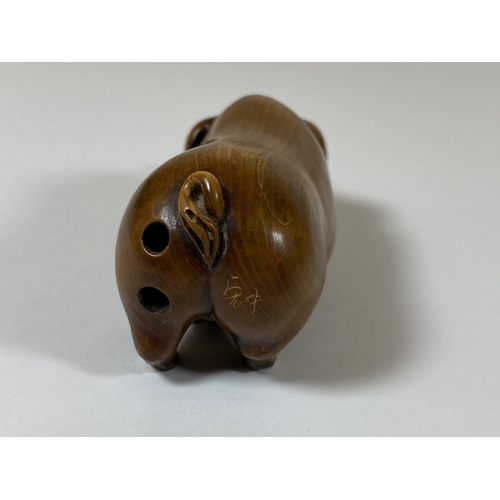 340 - AN ORIENTAL NETSUKE OF A PIG, LENGTH 6CM